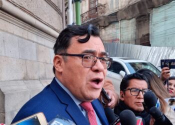 El jefe de bancada del MAS en Diputados, Jerges Mercado.