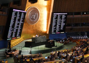 Asamblea General de la ONU