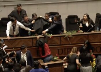 El "bochorno" en la Asamblea Legislativa, en noviembre de 2024.
Foto: Archivo