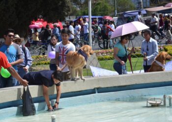 Subirán las temperaturas en cinco departamentos. Foto: Archivo La Razón.