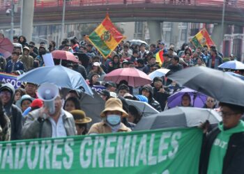 Marcha de los gremiales paceños. Foto: Archivo