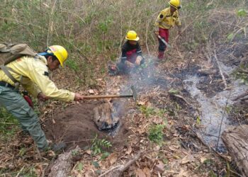 Siguen las tareas de prevención de incendios. Foto: Archivo.