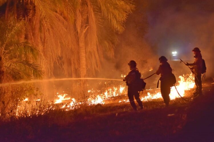 Santa Cruz se vio afectado por los incendios en 2024. Foto: Gobernación de Santa Cruz
