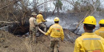 Bomberos trabajan en la sofocación de incendios en Santa Cruz.