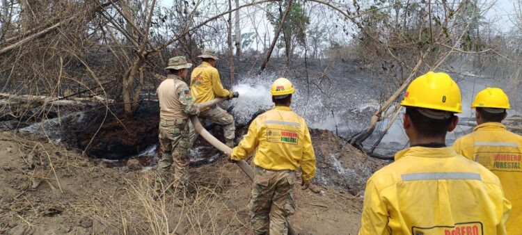 Bomberos trabajan en la sofocación de incendios en Santa Cruz.