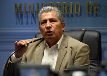 El ministro de Defensa, Edmundo Novillo, brindó la información. Foto: APG.