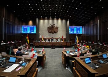 La sesión del Senado que consideró la ley de elecciones judiciales.