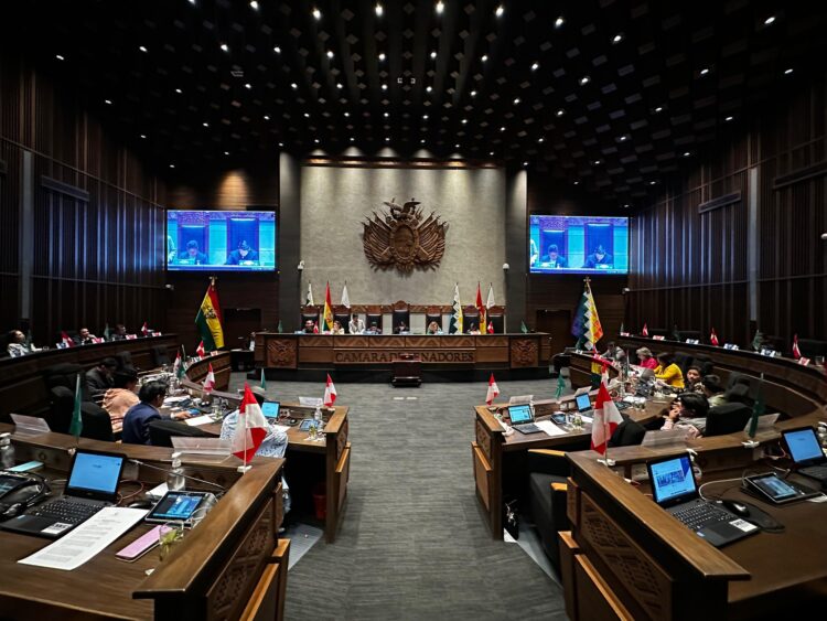 La sesión del Senado que consideró la ley de elecciones judiciales.