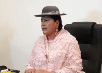 La senadora del MAS Virgina Velasco.