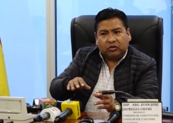 El presidente de la Comisión de Constitución en Diputados Juan José Jáuregui.