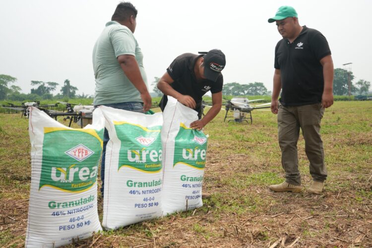 urea