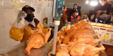 pollo