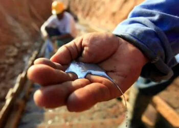 El Gobierno busca reducir el uso del mercurio en la minería y otras actividades. Foto: Archivo.