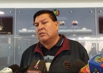 El primer secretario de la Cámara de Diputados, Delfor Burgos.