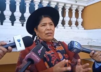 La segunda vicepresidenta de la Cámara de Diputados Toribia Lero (CC).