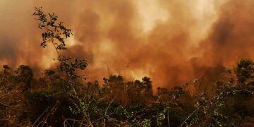 Los incendios forestales suelen presentarse en el país desde mediados de gestión. Foto: APG-Archivo.