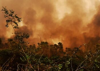 Incendios forestales en la región oriental del país. Foto: Archivo