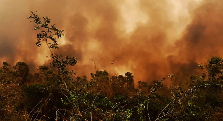 Incendios forestales en la región oriental del país. Foto: Archivo