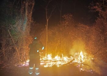 Un incendio forestal durante la gestión 2024. Foto: Archivo.