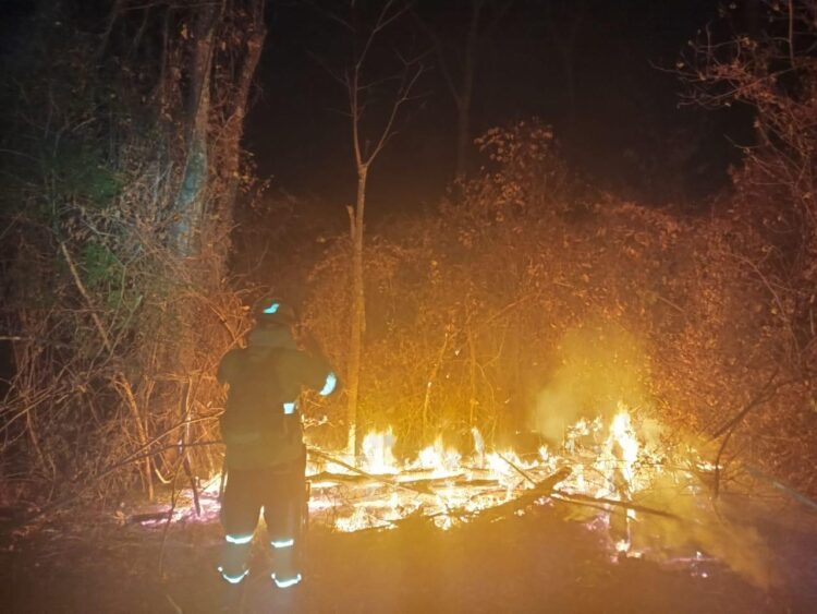 Un incendio forestal durante la gestión 2024. Foto: Archivo.
