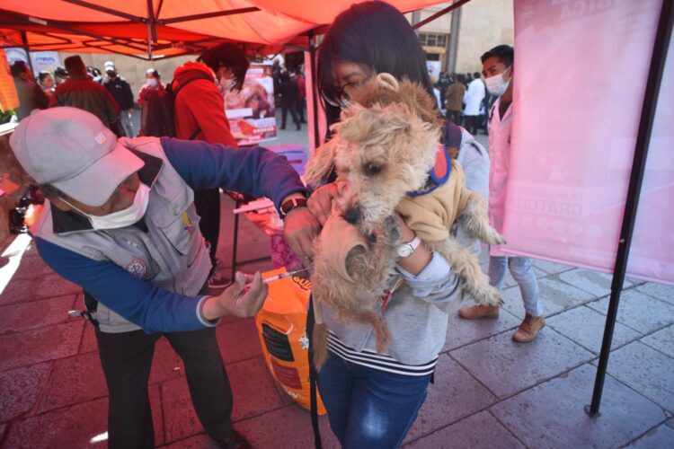 La rabia se previene mediante la vacunación. Foto: Archivo La Razón.