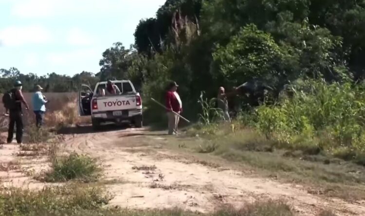 Gobierno confirma dos muertes tras grescas en tierras fiscales, apunta a empresarios e interculturales por avasallamiento.