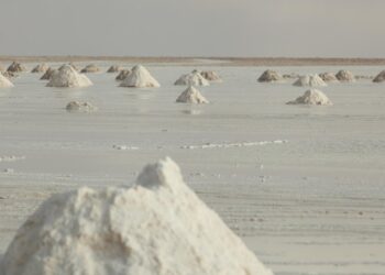 YLB