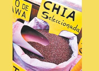 chía
