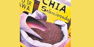 chía
