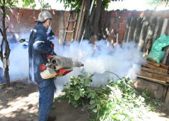 chikungunya