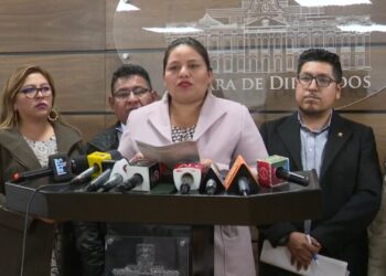 La diputada arcista Deysi Choque