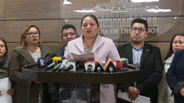 La diputada arcista Deysi Choque