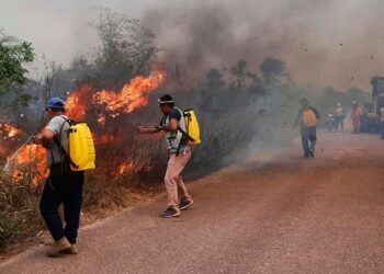 Uno de los incendios forestales de la pasada gestión. Foto: Archivo.