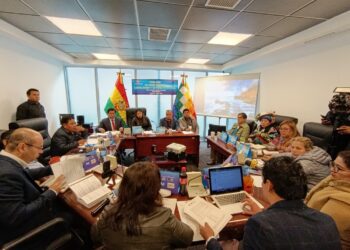 Sesión de la Comisión de Constitución de la Cámara de Diputados.