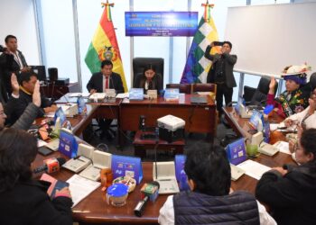 La sesión de la Comisión de Constitución de la Cámara de Diputados.