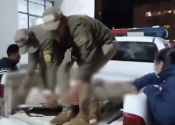 La Policía llevó el cuerpo a la morgue