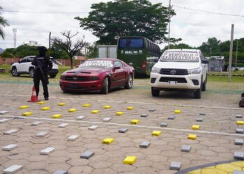 Un agente policial resguarda la droga y los vehículos incautados.