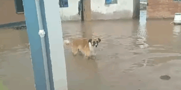 ríos