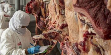 Las exportaciones de carne de res fueron restringidas.