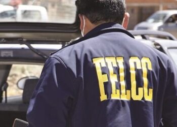 La FELCC reportó el caso. Foto: RRSS.