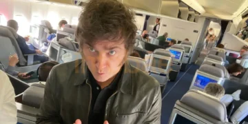 El presidente Javier Milei en un avión comercial.