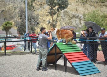 La obra incluye un parque para mascotas. Foto: GAMLP.