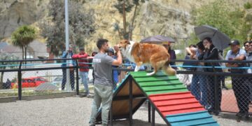 La obra incluye un parque para mascotas. Foto: GAMLP.