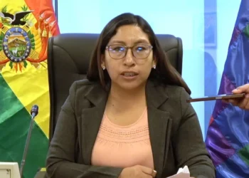 La presidenta de la Comisión de Constitución en Diputados, Olivia Guachalla.