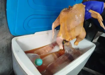 Personal de la Intendencia muestra un pollo crudo que estaba encima de botellas sucias.