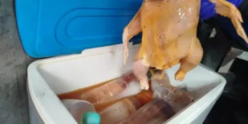 Personal de la Intendencia muestra un pollo crudo que estaba encima de botellas sucias.