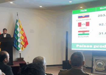 El viceministro de Sustancias Controladas, Jaime Mamani, informa los resultados de la gestión 2024.