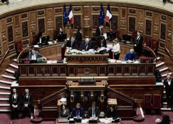 senado_frances_presupuestos.jpg