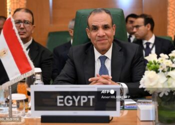 Egipto presentó el plan
