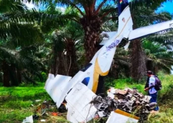 La aeronave quedó colgada en un árbol
